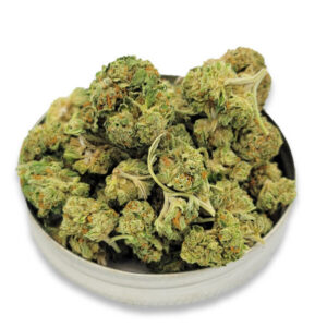 Northern Lights #2 Indica | Budget AA