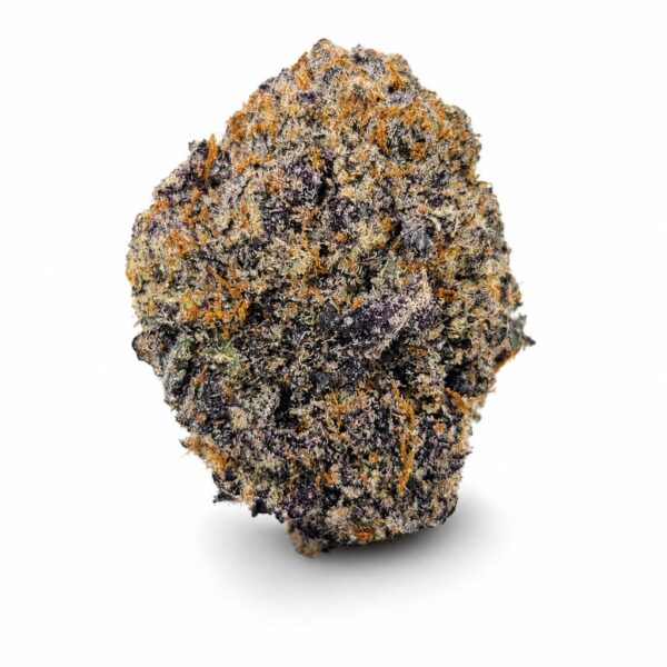 Dirty-Ol-Bastard-2-600x600