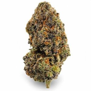 Money Maker Strain AAA β Heavy Indica Value Flower