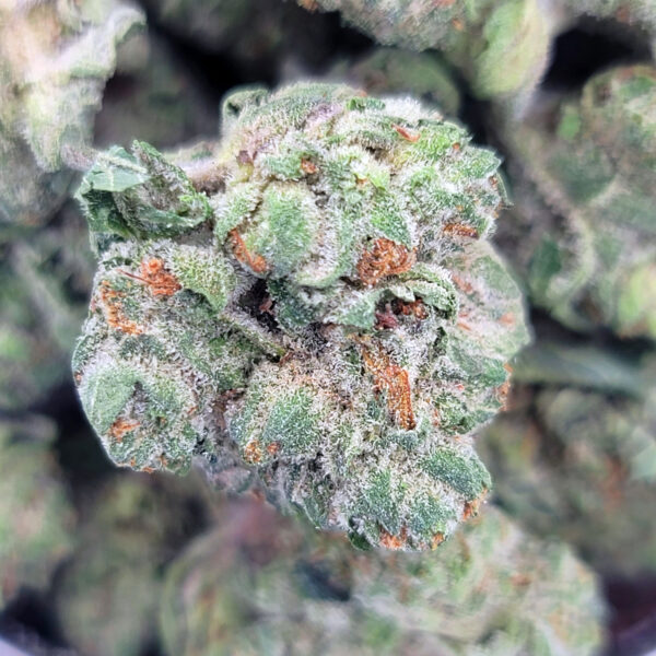 truffle-butter-1-600x600